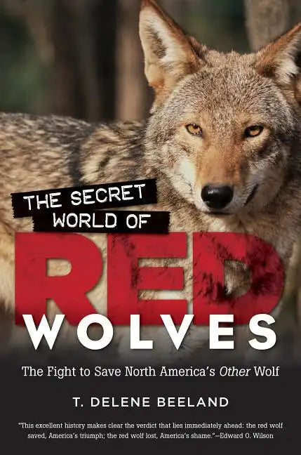 The Secret World of Red Wolves: The Fight to Save North America's Other Wolf - Paperback