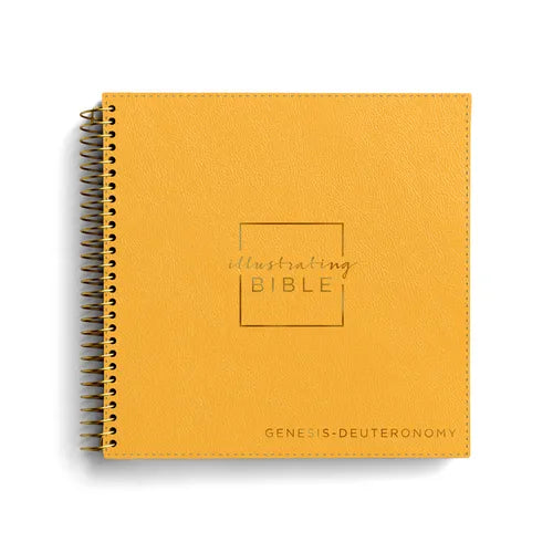 NIV Illustrating Bible, Genesis - Deuteronomy - Leather