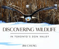 Discovering Wildlife in Toronto's Don Valley - Hardcover