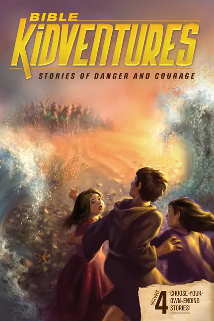 Bible Kidventures Stories of Danger and Courage - Paperback