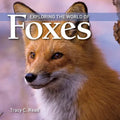 Exploring the World of Foxes - Paperback