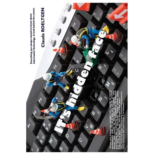 IT's hidden face: Everything you always wanted to know about Information Technology. A look behind the scenes - Paperback