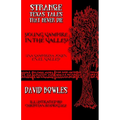 Young Vampire in the Valley - Paperback