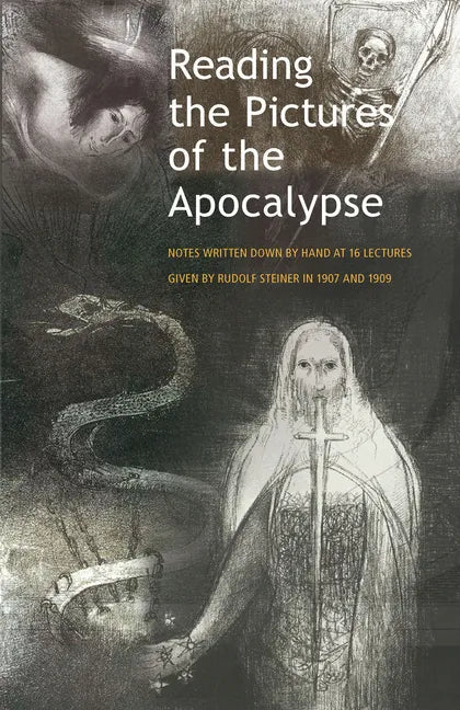 Reading the Pictures of the Apocalypse: (Cw 104a, 94) - Paperback