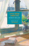 Little Snow Landscape - Paperback