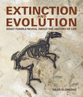Extinction and Evolution: What Fossils Reveal about the History of Life - Hardcover