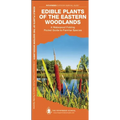 Edible Plants of the Eastern Woodlands: A Folding Guide to Familiar Species - Paperback