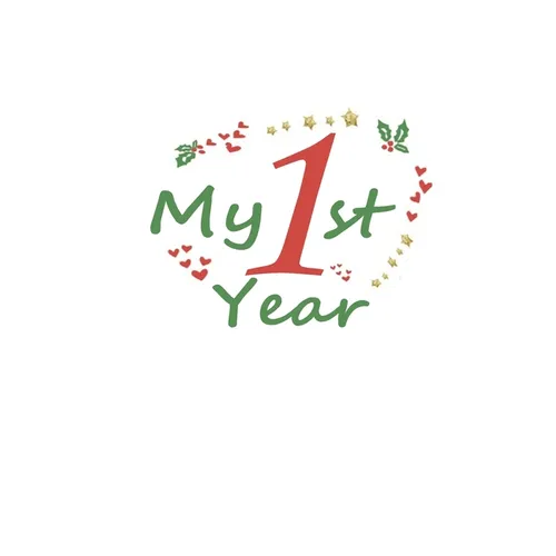 My 1st Year: First Year Memory Book, 29 pages, with monthly birthday and holidays pages, size: 6*9 inches, matte colorful cover with special design - Paperback
