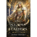 King of Storms and Feathers: Special Fae King Edition: A Dark Fae Fantasy Romance - Paperback