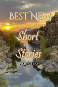 Best New Short Stories 2021 - Paperback