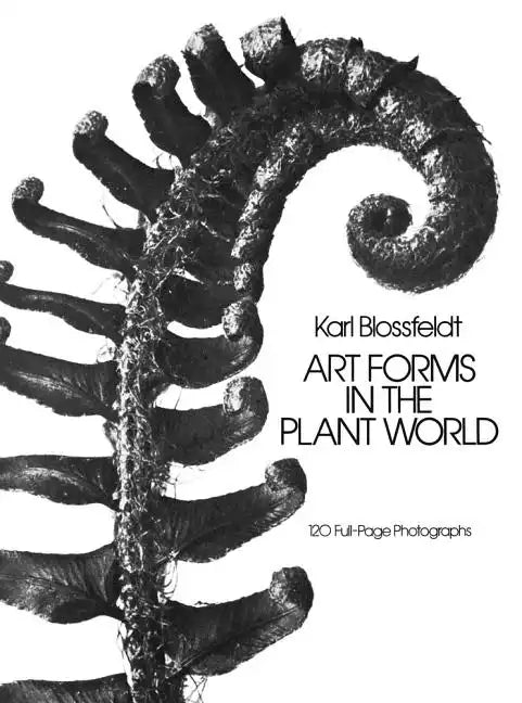 Art Forms in the Plant World - Paperback