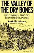 The Valley of the Dry Bones - Paperback