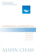Everything Arises, Everything Falls Away: Teachings on Impermanence and the End of Suffering - Paperback