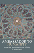 Ambassador to Humanity - Paperback