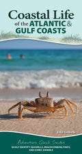 Coastal Life of the Atlantic and Gulf Coasts: Easily Identify Seashells, Beachcombing Finds, and Iconic Animals - Spiral