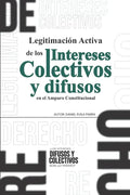 Legitimación de los Intereses Colectivos en el Amparo Constitucional - Paperback