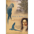 Spix's Macaw: The Race to Save the World's Rarest Bird - Paperback