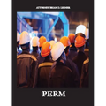Perm: Electronic Labor Certifications for Employment Petitions - Paperback