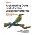 Architecting Data and Machine Learning Platforms: Enable Analytics and Ai-Driven Innovation in the Cloud - Paperback