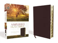 Amplified-Am: Captures the Full Meaning Behind the Original Greek and Hebrew - Bonded Leather