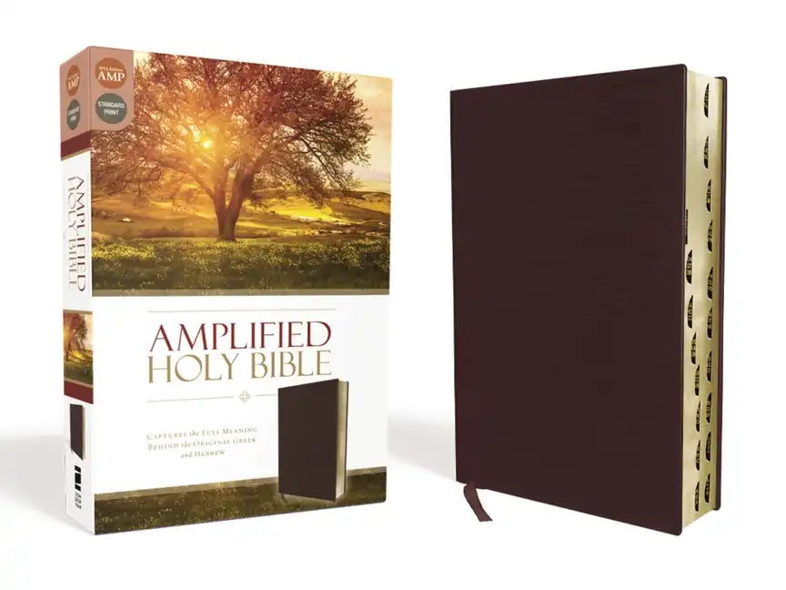 Amplified-Am: Captures the Full Meaning Behind the Original Greek and Hebrew - Bonded Leather