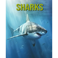 Sharks: Fun and Educational Book for Kids with Amazing Facts and Pictures - Paperback
