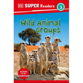 DK Super Readers Level 3 Wild Animal Groups - Hardcover