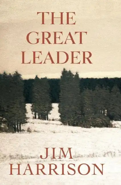 The Great Leader: A Faux Mystery - Paperback