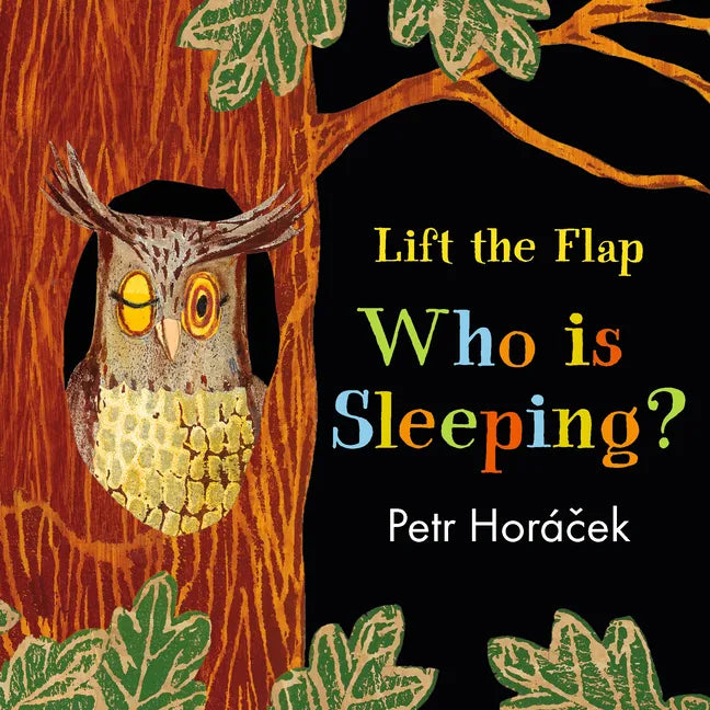 Who Is Sleeping? - Board Book