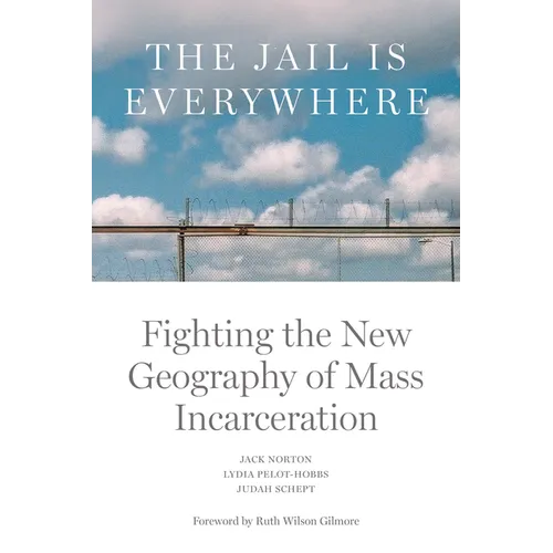 The Jail Is Everywhere: Fighting the New Geography of Mass Incarceration - Paperback