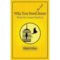 Why You Need (the real) Jesus: What the Gospel Really Is - Paperback
