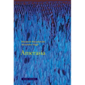 Amerasia - Hardcover