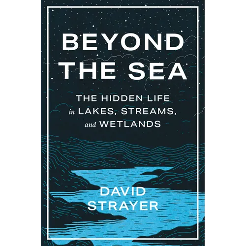 Beyond the Sea: The Hidden Life in Lakes, Streams, and Wetlands - Hardcover