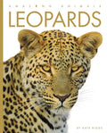 Leopards - Paperback