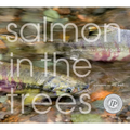 Salmon in the Trees: Life in Alaska's Tongass Rain Forest [With CD (Audio)] - Hardcover