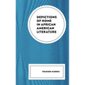 Depictions of Home in African American Literature - Paperback