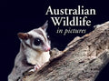 Australian Wildlife in Picture: Celebrating the Unique Nature of the Island Continent, from Kangaroos to Sea Dragons - Paperback