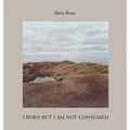 I Burn But Am Not Consumed - Hardcover