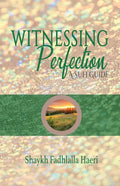 Witnessing Perfection - Paperback