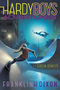 Stolen Identity - Paperback