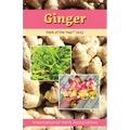 Ginger: Herb of the Year 2023 - Paperback