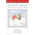 Not Nice on Ice - Paperback