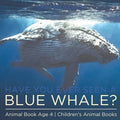 Have You Ever Seen A Blue Whale? Animal Book Age 4 Children's Animal Books - Paperback