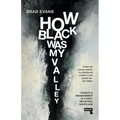 How Black Was My Valley: Poverty and Abandonment in Post-Industrial Wales - Paperback