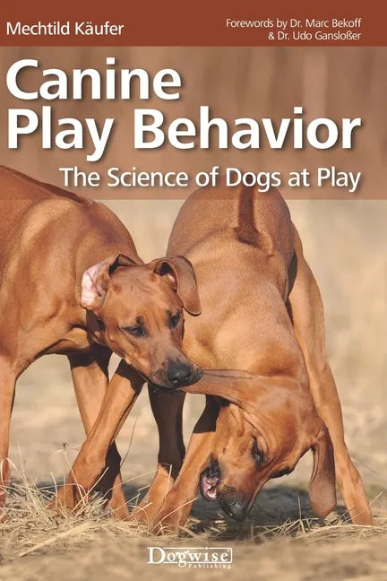 Canine Play Behavior: The Science of Dogs at Play - Paperback