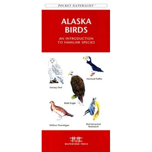 Rocky Mountain Birds: An Introduction to Familiar Species