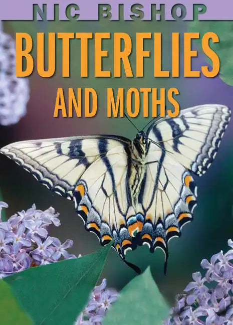 Nic Bishop: Butterflies and Moths - Hardcover