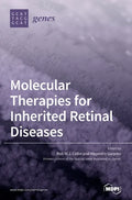 Molecular Therapies for Inherited Retinal Diseases - Hardcover