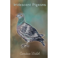 Iridescent Pigeons - Paperback