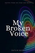 My Broken Voice: Poetry From the Edge and Back - Paperback